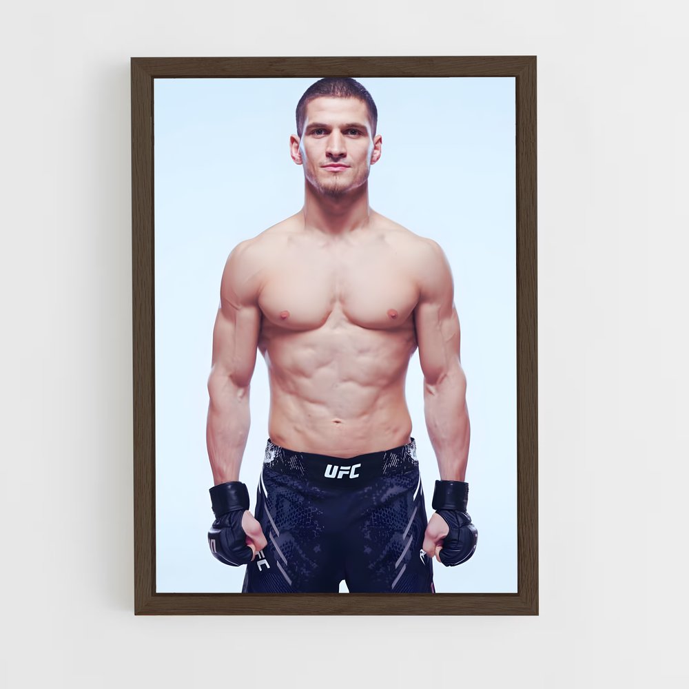 Poster Fight Night: Movsar vs. Rivaux – affiche MMA (vue 5)